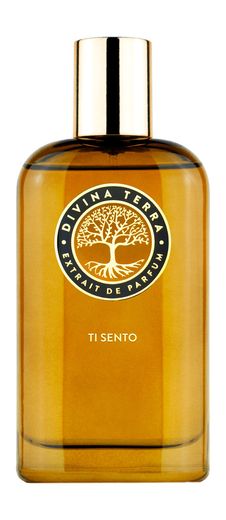 DiVina Terra Ti Sento Extrait De Parfum