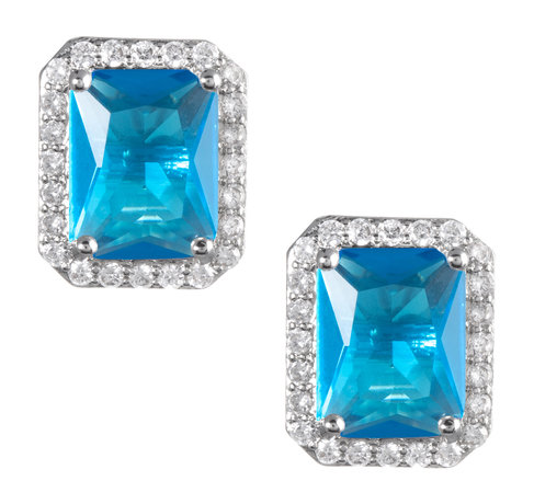 Ronda Premium Earrings LE335г