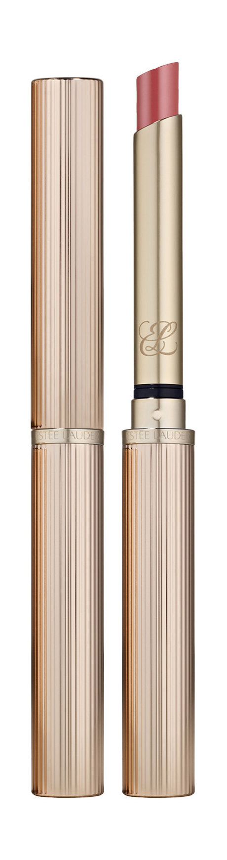 Estee Lauder Pure Color Explicit Slick Shine Lipstick — цена и наличие Estee Lauder Pure Color Explicit Slick Shine Lipstick