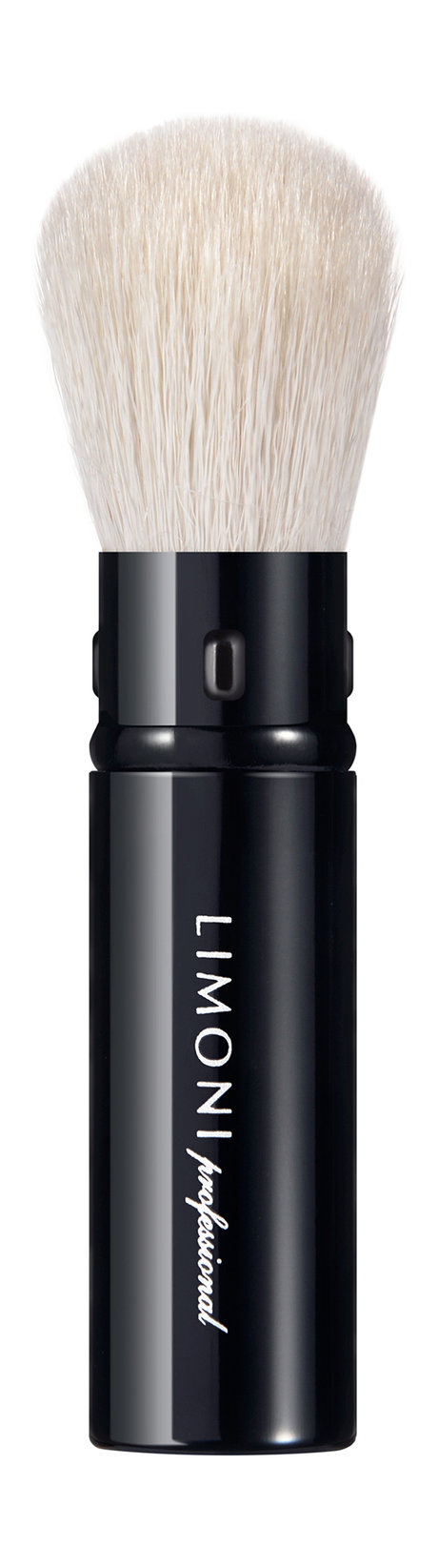 Limoni Professional Brush №55