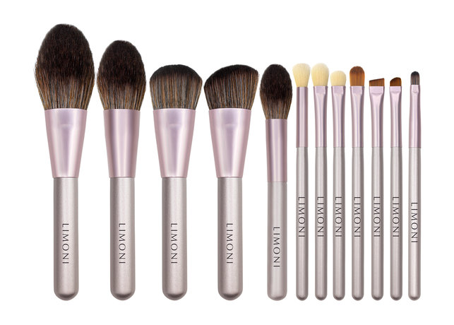 Limoni Complete Brush Kit
