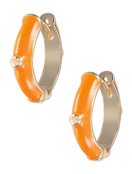 Ronda Summer Earrings E500о