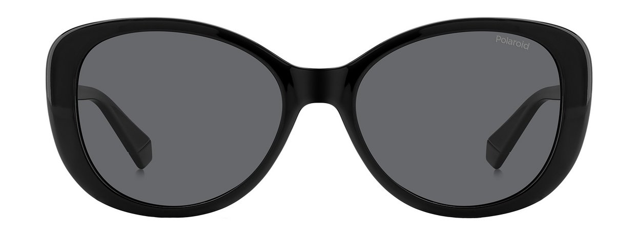 Polaroid Sunglasses PLD 4154/S/X Черный