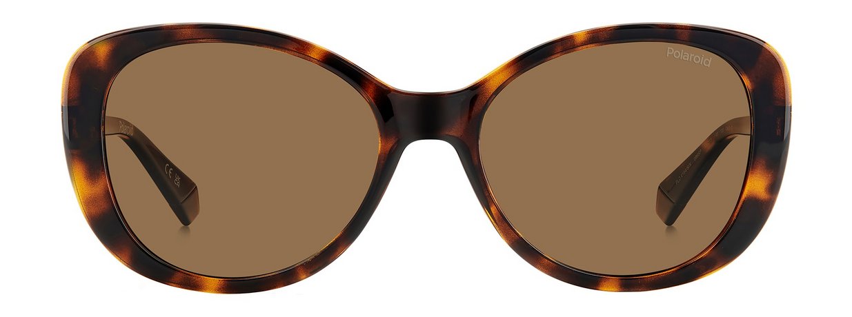 Polaroid Sunglasses PLD 4154/S/X Коричневый