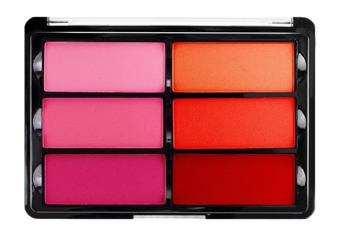 Viseart Rose Coral Blush Palette