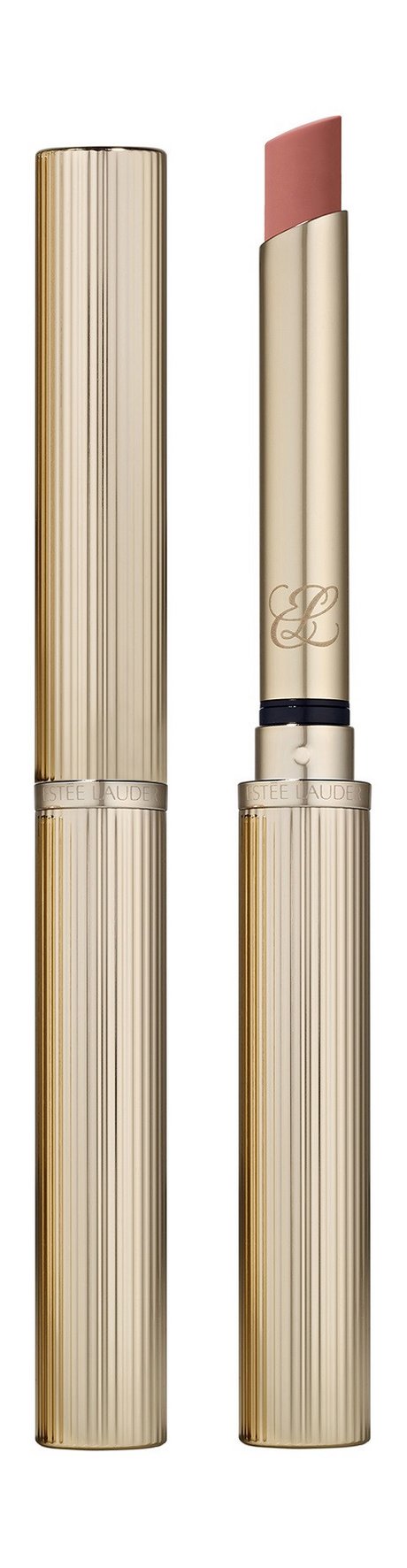 Estee Lauder Pure Color Explicit Silk Matte Lipstick — цена и наличие Estee Lauder Pure Color Explicit Silk Matte Lipstick